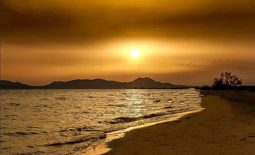 Illustration San Pedro